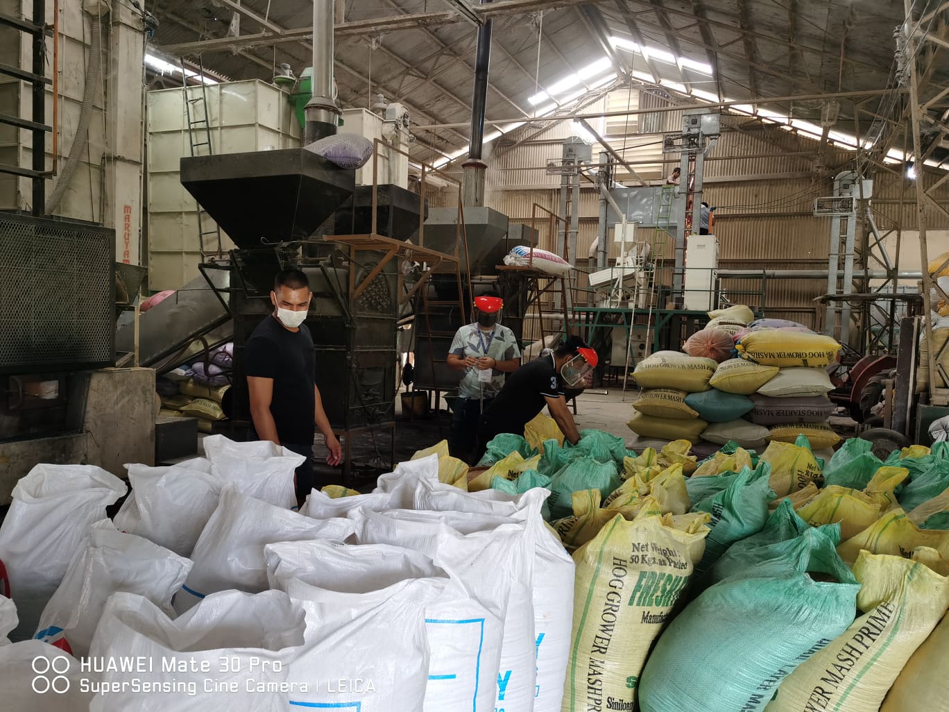 Da Nfa Laguna Continues To Buy Palay Directly From Farmers Amid Covid