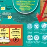 Taal Volcano Eruption Damages on High-Value Crops and Government Rehabilitation Strategies