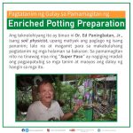 Pagtatanim ng Gulay sa Pamamagitan ng Enriched Potting Preparation