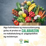 masusustansyang prutas at gulay sa CALABARZON