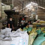 DA-NFA Laguna continues to buy palay directly from farmers amid COVID-19