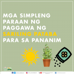 Mga Simpleng Paraan ng Paggawa ng Sariling Pataba para sa Pananim