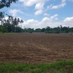 DA-QARES allots add’l 1-ha land for Plant, Plant, Plant program