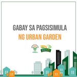 Gabay sa pagsisimula ng urban garden