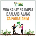 TAYO NA’T MAG-URBAN AGRI! Alinsunod sa kampanya ng Kagawaran ng Pagsasaka na masiguro ang pagkain sa hapag, hinihikayat ang lahat sa kani-kanilang tahanan at maging sa buong pamayanan na magtanim. Kaagapay ang Kagawaran ng Pagsasaka sa Rehiyon ng CALABARZON sa adhikaing ito, sa pamamagitan ng paghahatid ng suportang pang-produksyon kagaya ng buto, punla, at kagamitang panghardin/pantanim sa pakikipagtulungan sa mga lokal na pamahalaan sa rehiyon. Narito ang limang bagay na dapat isaalang-alang sa matagumpay na pagtatanim. Sama-samang pagtatanim, ugaliin natin Seguridad sa pagkain, ating kamtin! (DA CALABARZON-RAFIS, Abril 2020)