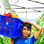 RARES is on full force in conducting a series of farming activities at Brgy. Cuyambay, Tanay, Rizal, in support of the Department of Agriculture’s Plant, Plant, Plant program