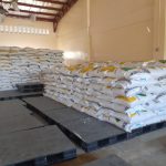 DA distributes hybrid and inbred rice seeds in CALABARZON under RRP