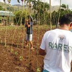 Farmer-Cooperators in Brgy. San Andres, Tanay, Rizal received bags of palay seeds and fertilizers from the Department of Agriculture CALABARZON