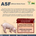 ASF (African Swine Fever)