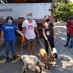 mga magsasakang naapektuhan ng African Swine Fever sa Teresa, Rizal nakatanggap ng mga kambing bilang bahagi ng Alternative Livelihood Assistance Program ng Kagawaran ng Pagsasaka Rehiyon 4-CALABARZON