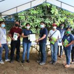 P43.8M worth of DA's agricultural interventions reach Taal-affected farmers in Batangas