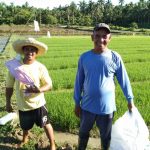 24,355 farmers in CALABARZON receive free seeds, fertilizers through DA’s RRP