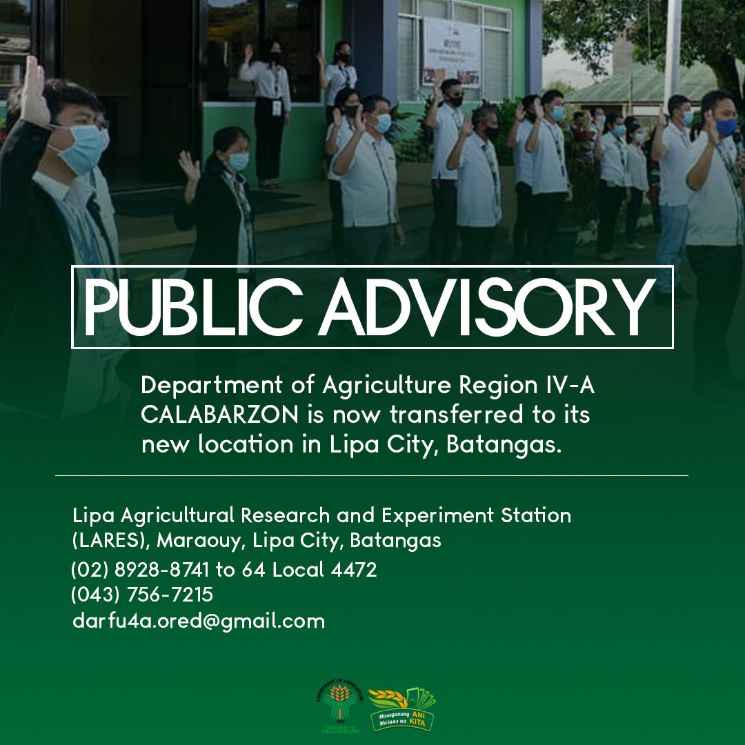 Department of Agriculture Region IV-A now in Lipa