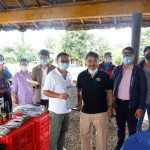 Amadeo farmers receive farm production support from DA 4A