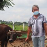 DA, BAR distribute caraheifers, agri inputs to Batangas farmers