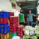 fresh vegetables from different areas in the CALABARZON region were shipped to South Supermarket branche