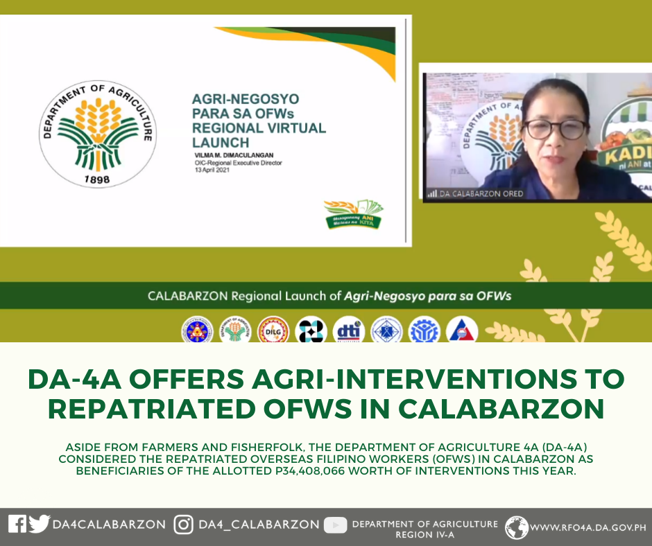 DA-4A offers agri-interventions to repatriated OFWs in CALABARZON