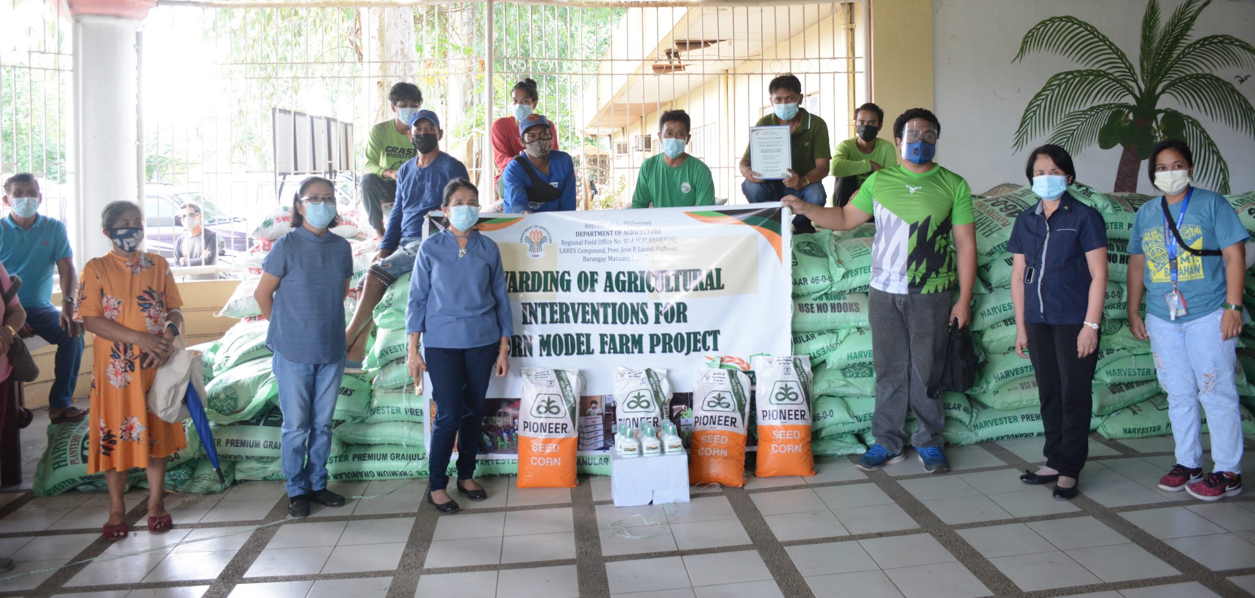 DA-4A continues to distribute high yielding corn seeds to FAs to boost corn production